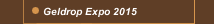 Geldrop Expo 2015